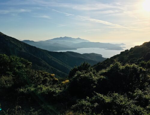 Trekking all’Isola d’Elba: leggende, sentieri e natura
