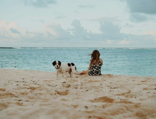 Vacanze all’Isola d’Elba con i tuoi animali: consigli e suggerimenti